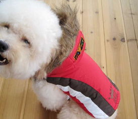 美琪妃宠Feipet 2012秋冬宠物服装新品解析 价格、厂家与大白宠物风尚