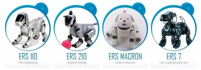 “人不如狗”？当宠物市场超越婚介市场，我们该如何看待情感消费的变迁